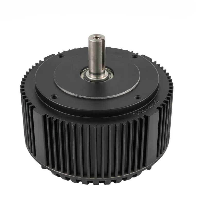 5KW 48V Brushless DC Motor for - Quality Outdoor Power Equipment recension och pris